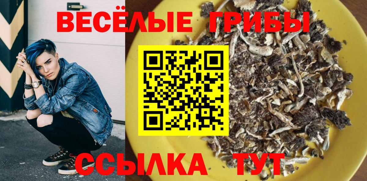Галлюциногенные грибы Cubensis Хабаровск