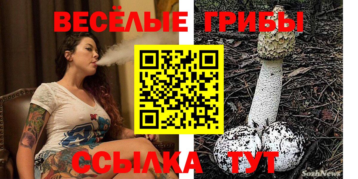 Хабаровск  Галлюциногенные грибы GOLDEN TEACHER  Галлюциногенные грибы ЛСД  Вход с VPN 